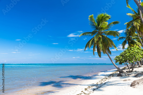 tropical sand beach with palm trees, vacation concept