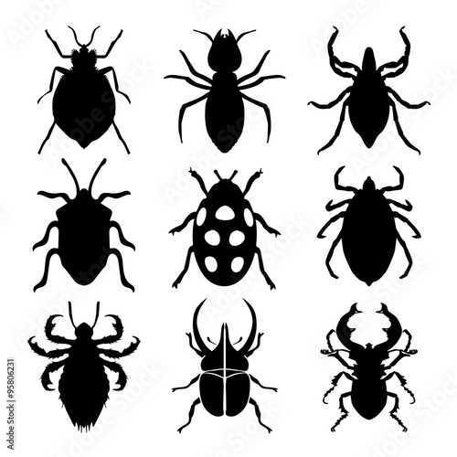 Insects Silhouettes