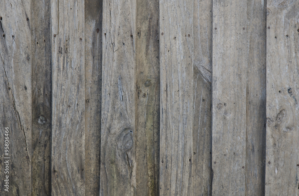 abstract grunge wood texture background / Wood Texture abstract grunge wood texture background / Wood Texture