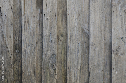 abstract grunge wood texture background / Wood Texture