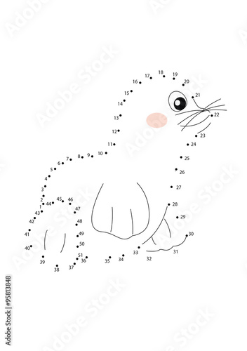 Fotografie gioco puntini, foca