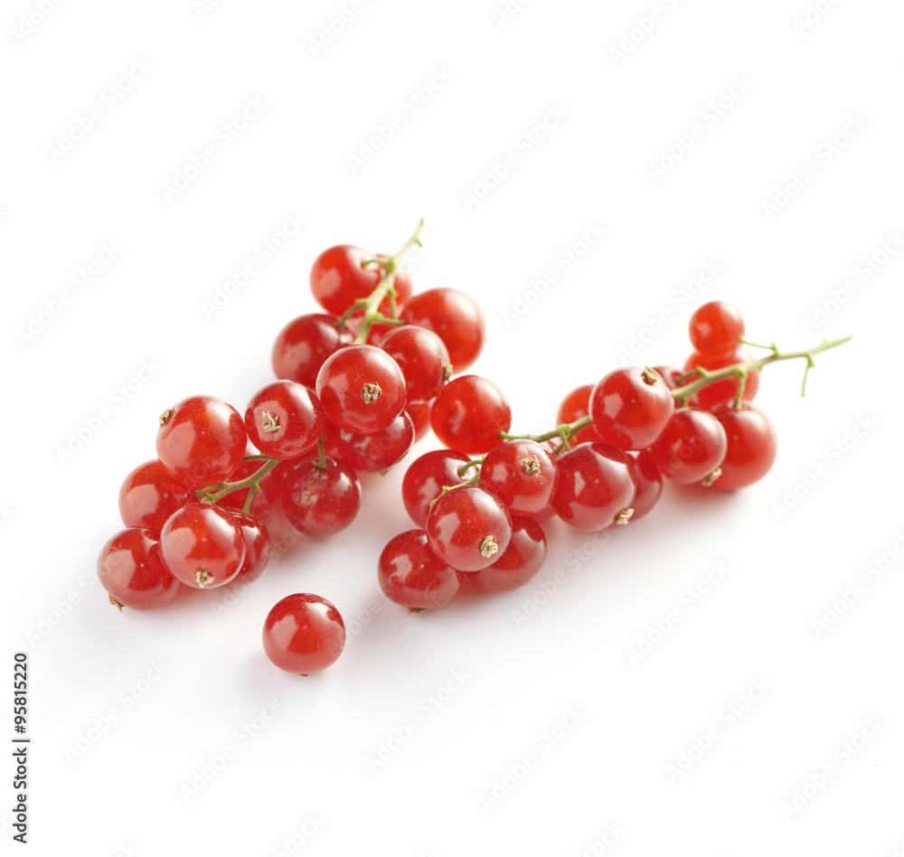 Sprigs of Red Currants on White Background