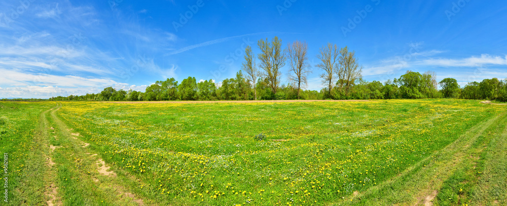 Fototapeta premium Spring countryside