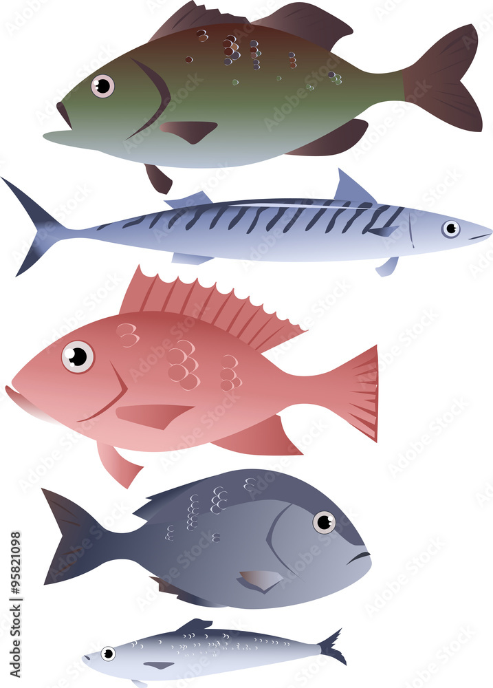 Popular species of commercially harvested fish, including bass