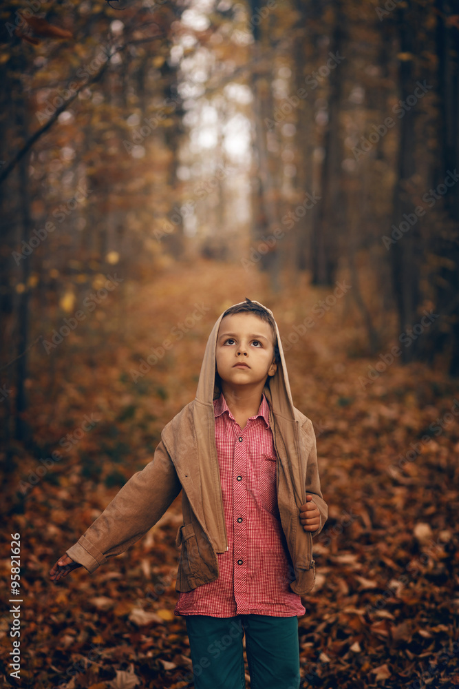 adorable boy and autumn adorable boy and autumn