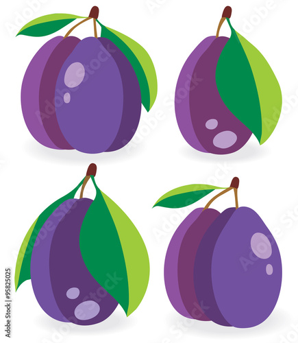 Fresh plumes vector illustration