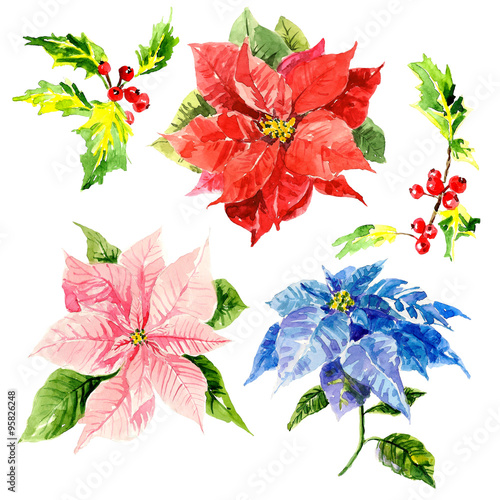 Watercolor hand drawn flowers with foliage and viburnum 
