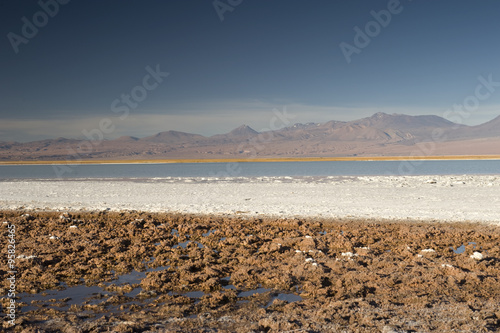 Cejas lagoon, Atacama desert, Chile