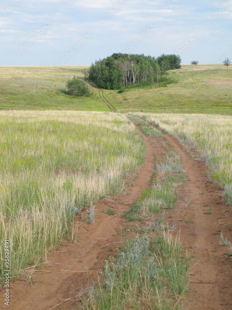 Dirt road in the steppe leading to a small forest against a blue sky Dirt road in the steppe leading to a small forest against a blue sky