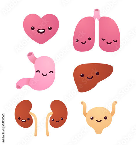 Cute internal organs