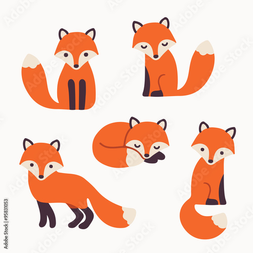 cute fox collection photo