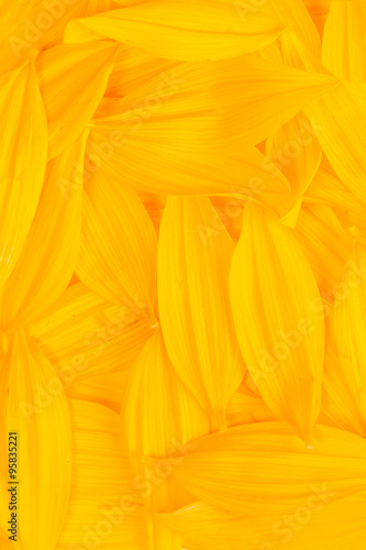 Hintergrund - Blütenmeer in leuchtendem gelb