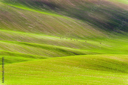 Czech countryside, south Moravia. © Jarek Pawlak