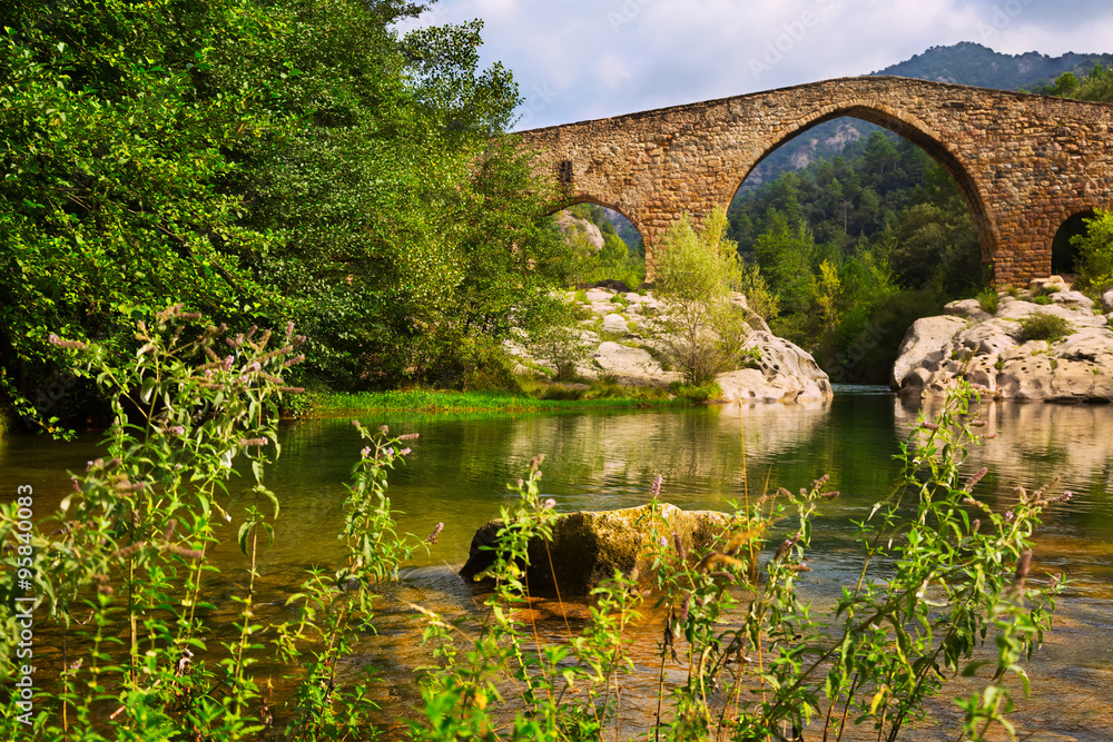 Medieval stone bridge over Llobregat river in  Pyrenees