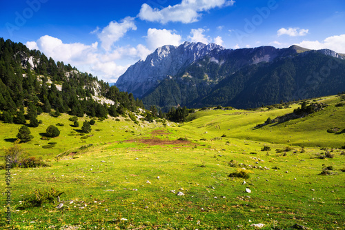 Mountain meadow photo