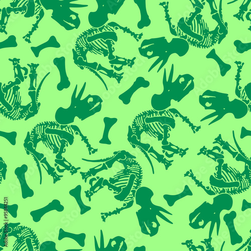 Triceratops bones.
