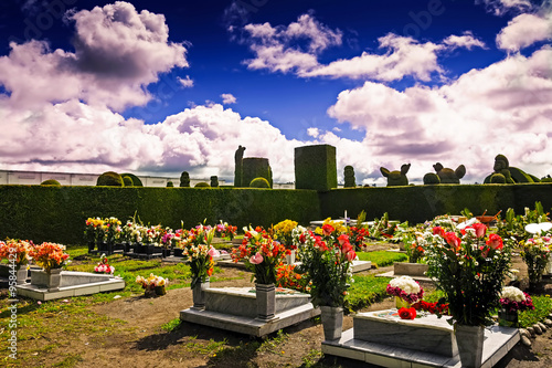 Groomed Graves In The Cemetery, Tulcan, Ecuador