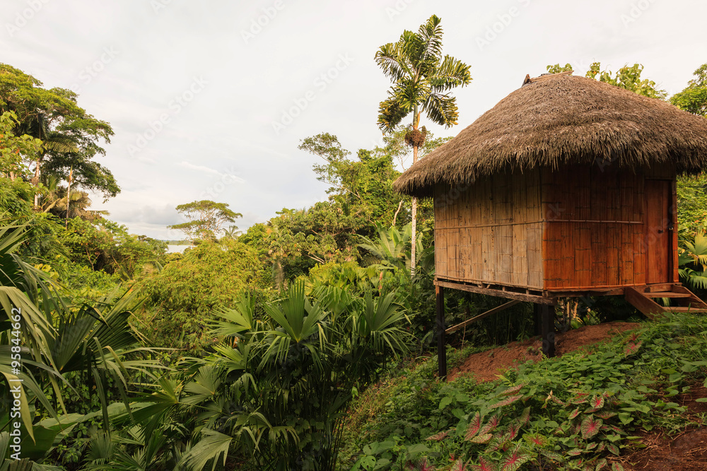 Bamboo Lodge In National Park Yasuni Bamboo Lodge In National Park Yasuni