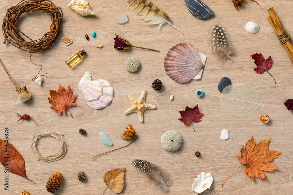 Nature beauties wallpaper