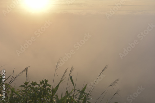 fog and sun . morning time © noombkk