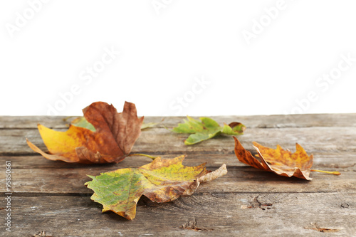 Autumn maple leaves on a wooden table isolated on white