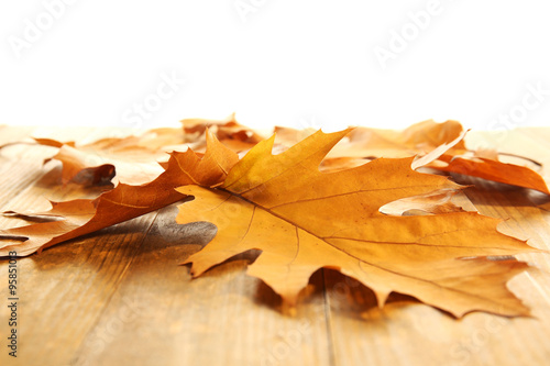 Yellow autumn leaves on wooden table, isolated on white