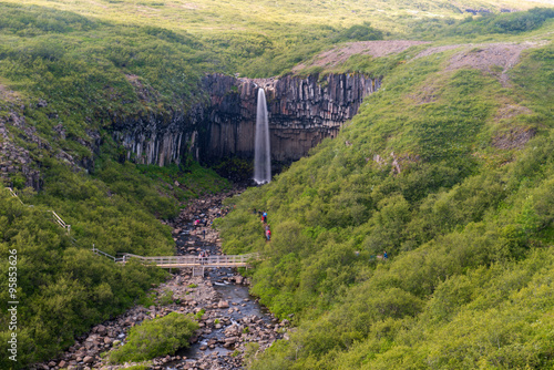 Svartifoss Waterfall, Skaftafell national park, Iceland