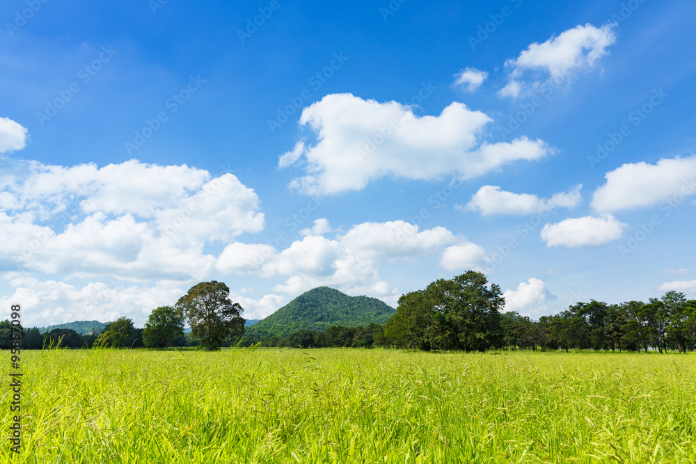 Green feild with clear sky and mountain background Green feild with clear sky and mountain background