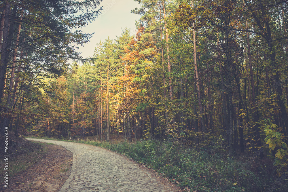 Beautiful autumn calm nature landscape. Concept of beauty of autumn nature.Vintage colours. Beautiful autumn calm nature landscape. Concept of beauty of autumn nature.Vintage colours.