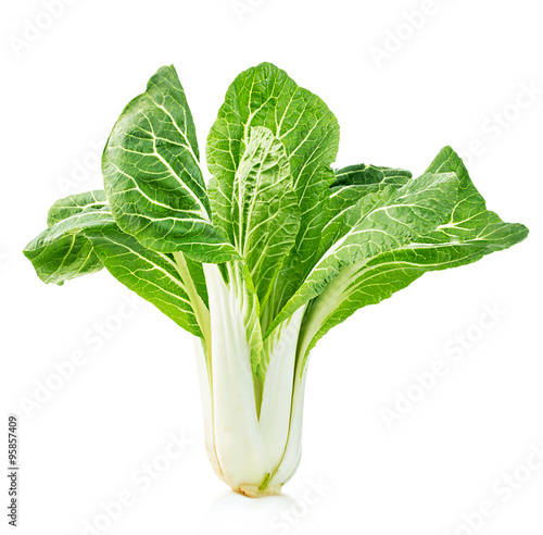 Chinese lettuce in isolated on a white background
