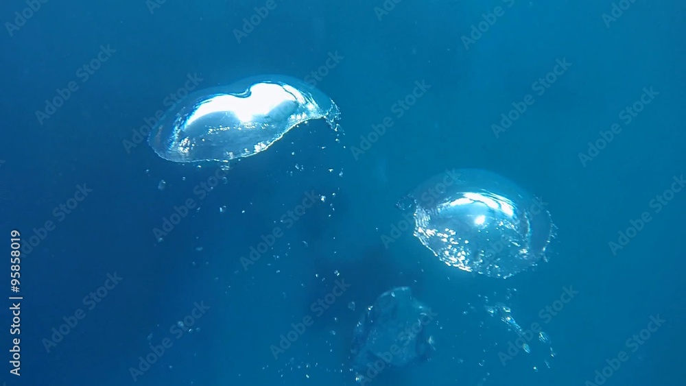 grosse luftblasen im klaren meer
