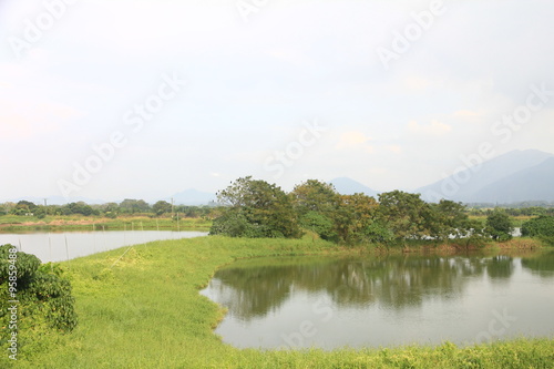 Hong Kong   s Countryside