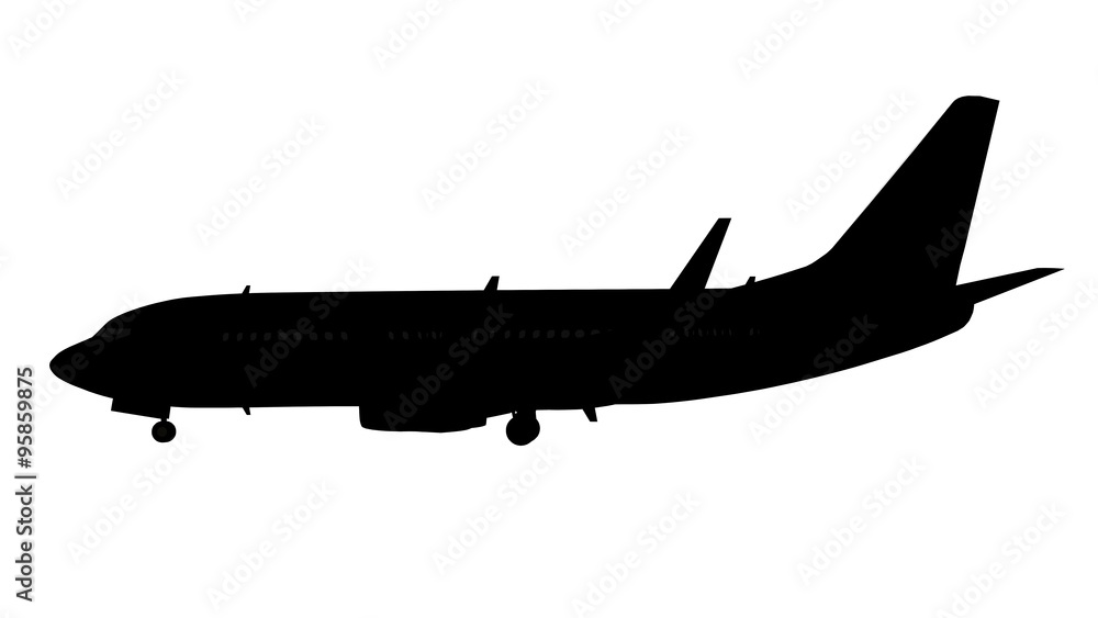 Obraz premium Passenger airplane silhouette