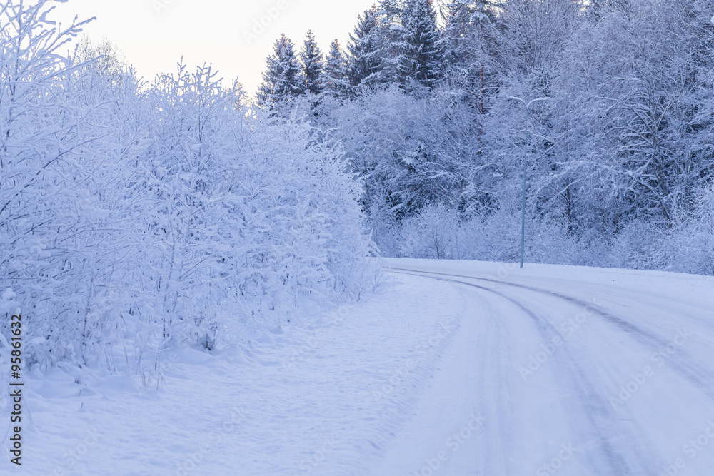 Winter evening forest with road covered with snow Winter evening forest with road covered with snow