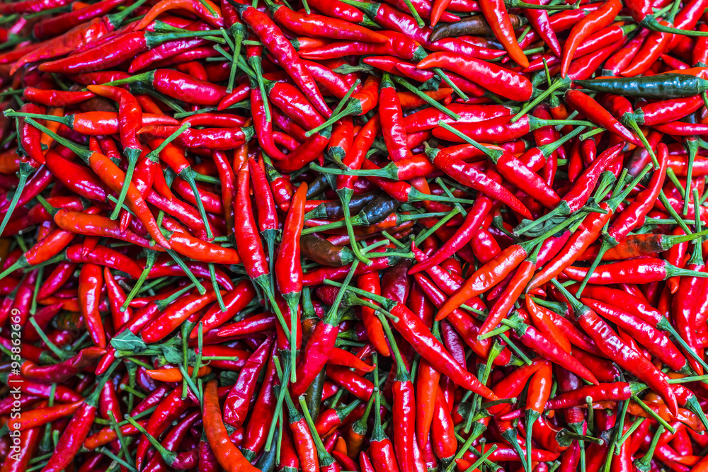 Fototapeta premium Red chili peppers, closeup view