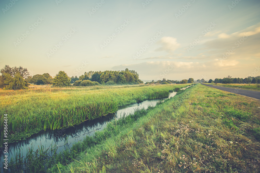 Obraz premium Foggy morning over the meadow in Poland.