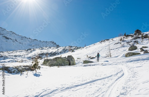 Skier walking on a trail.