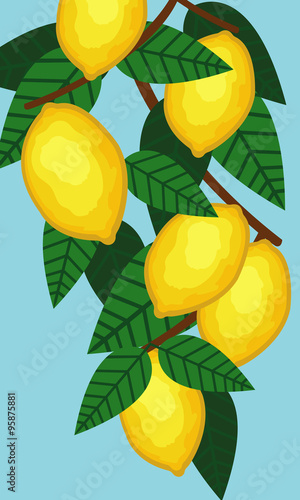 lemon tree photo