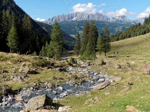 Gebirgsbach im Seitental