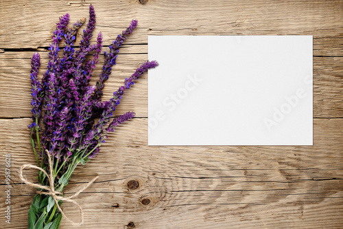 Bunch of salvia and blank greeting card on wooden background