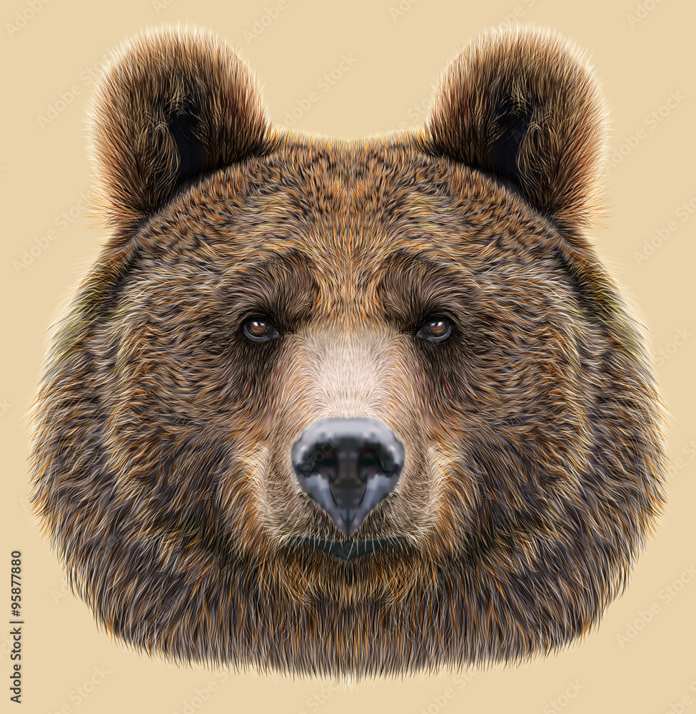Fototapeta premium Illustrated Portrait of Bear on beige background