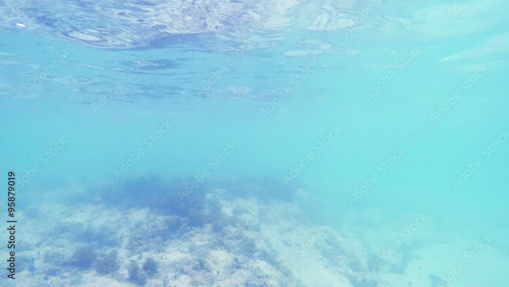 Under Ocean Water to Fish. camera descends underwater to reveal fish in slow motion
Under Ocean Water to Fish. camera descends underwater to reveal fish in slow motion