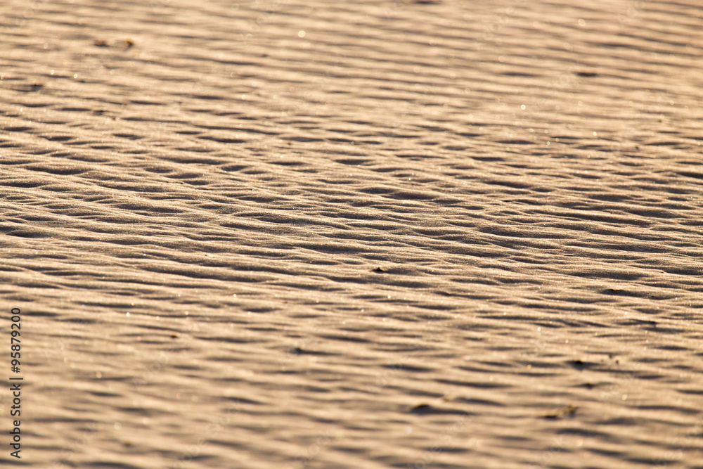 sand in nature as a background sand in nature as a background