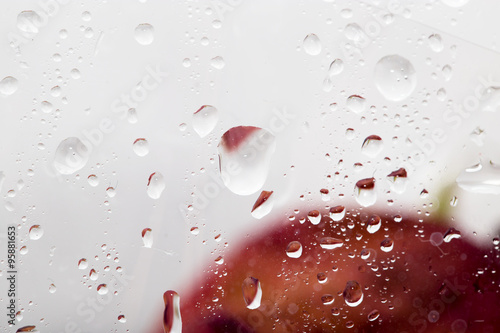 Fotografi drops on the cellophane on flowers