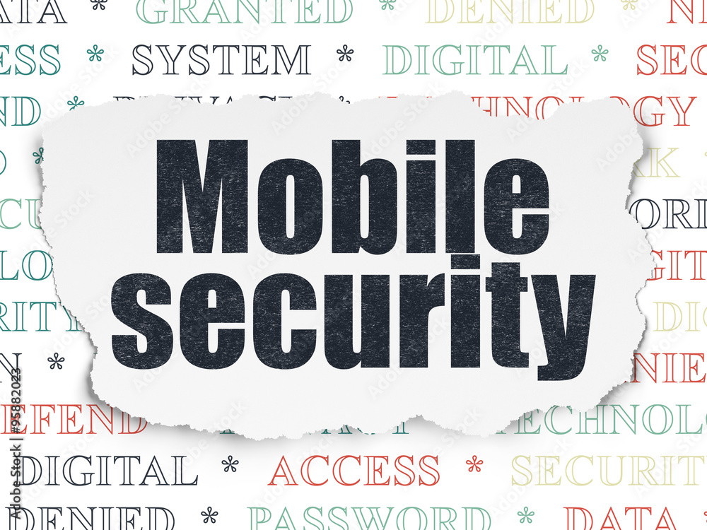 Fototapeta premium Privacy concept: Mobile Security on Torn Paper background