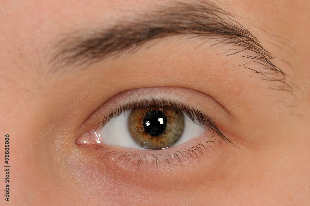 Obraz premium Human eye