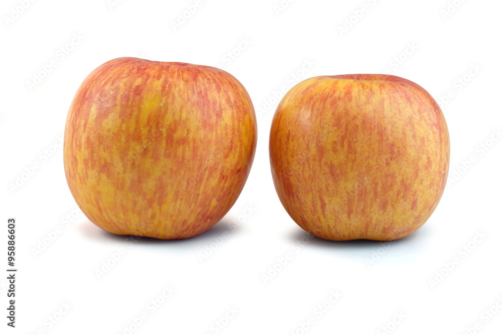 Two red yellow apple isolate white background Two red yellow apple isolate white background