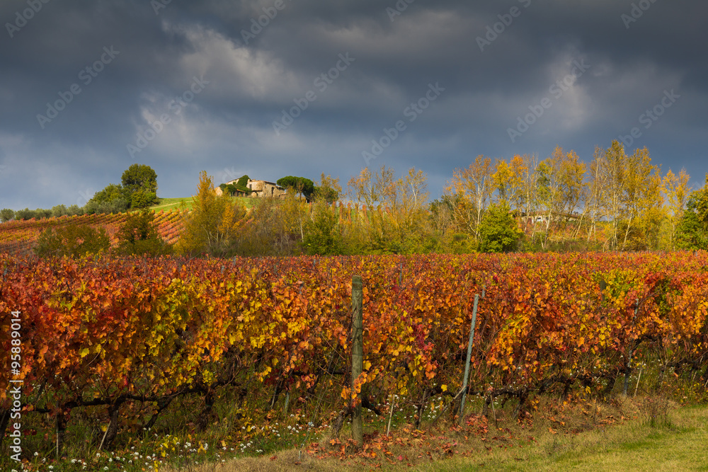 Temporale in arrivo sul vitigno umbro in autunno