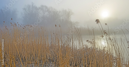 Shore of a foggy lake at dawn in winter