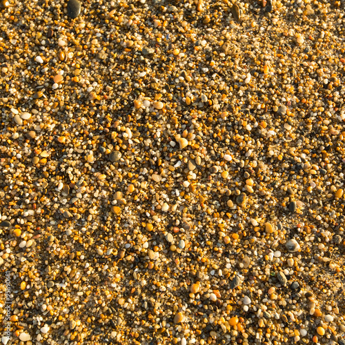 Sea sand beach texture.